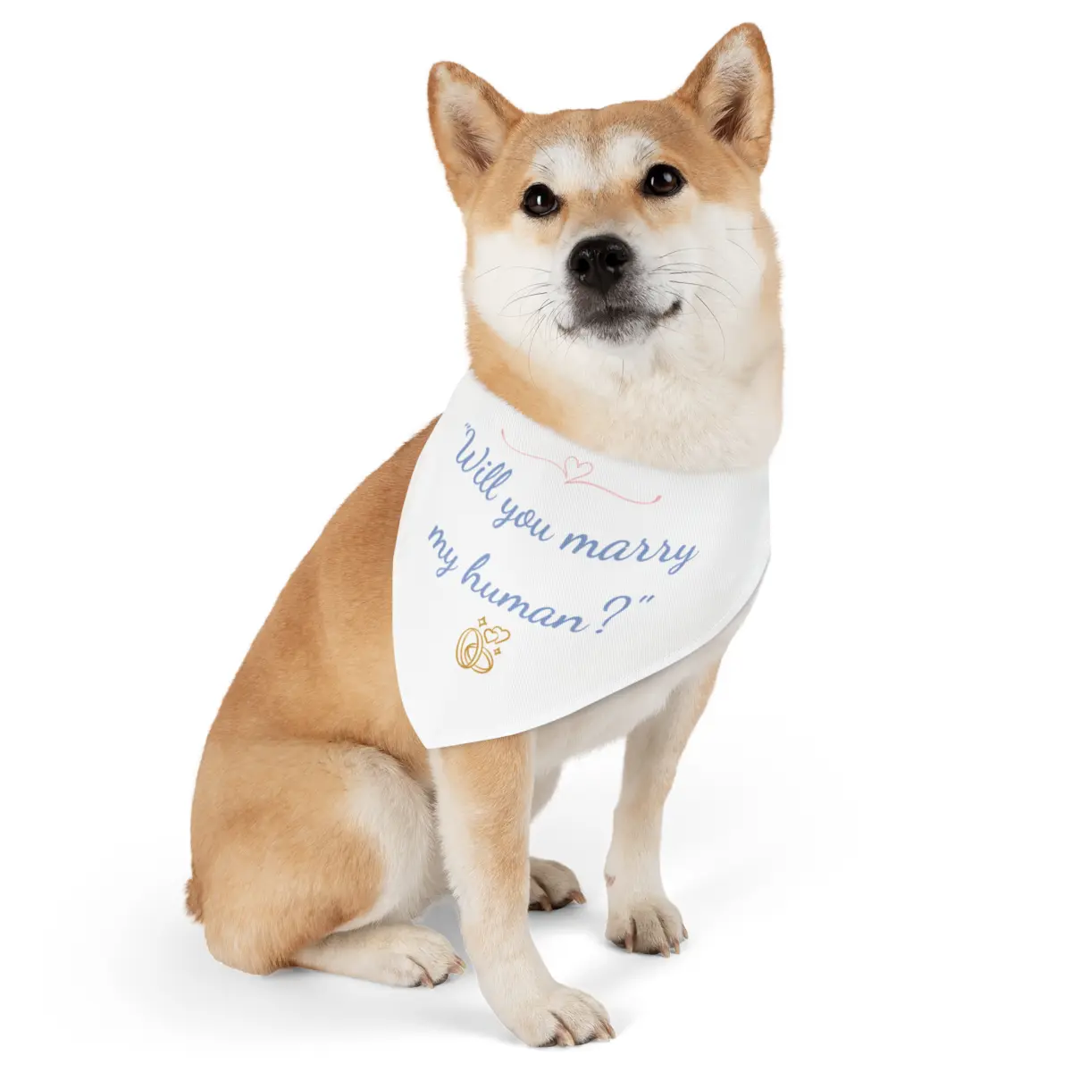 πΆπ "The Perfect Proposal Set β Pet Edition + Exclusive Proposal Magic Guide as a GIFT!" β¨