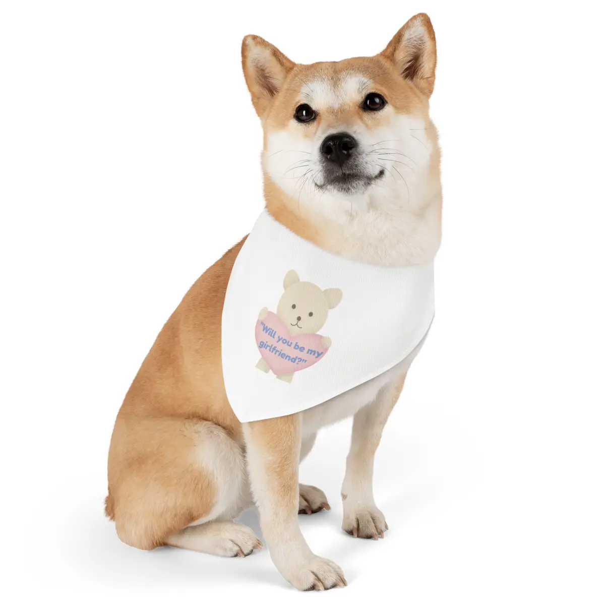 πΎπ "You & Me Proposal Set β Pet Edition + Exclusive SPECIAL GIFT Proposal Magic Guide!" β¨